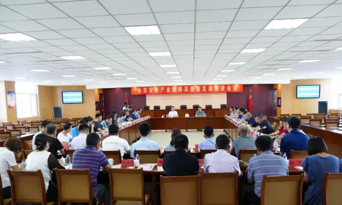 全市安防產業(yè)集群高質量發(fā)展推進會議在集團公司舉行